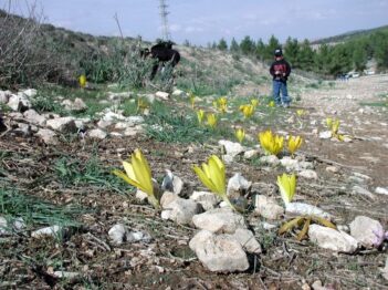 טיול ביער להב וחורבת זעק