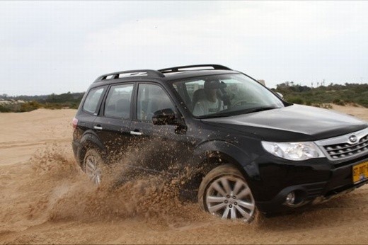 FORESTER HALF