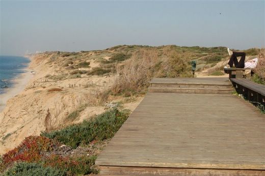 הטיילת בחוף השרון. צילום אורי דביר