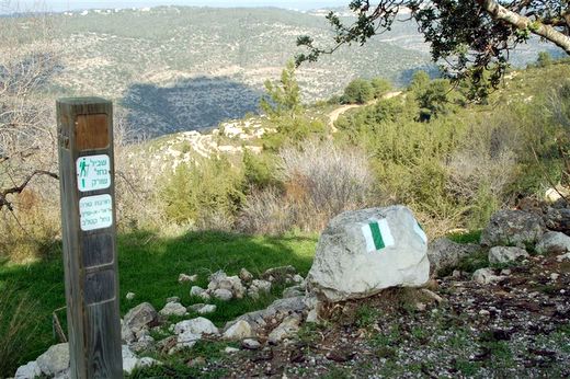 נחל שורק עליון