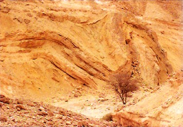אצבע אלוהים צילום אבירם ברקאי