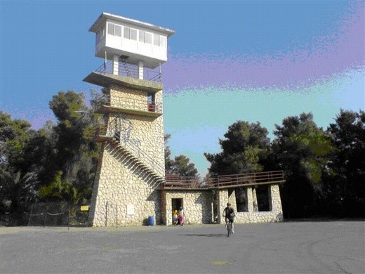 בית היערן ביער המלאכים. נקודת המוצא. צילום ראובן גרינברג