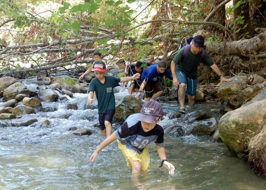 חל שניר - החצבאני צילוםיואב קווה