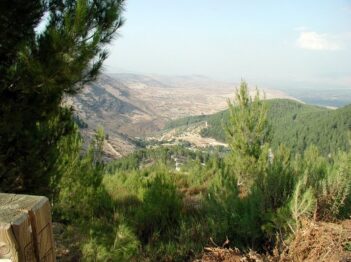 יער ביריה והמעיינות לכל מכונית