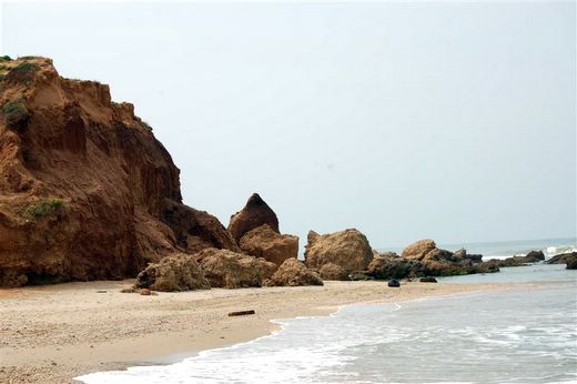 ממכמורת לנתניה לאורך החוף. צילום אורי דביר