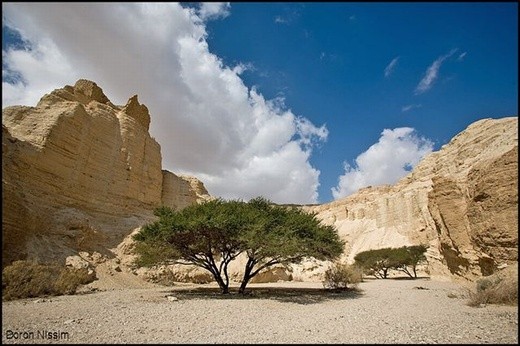 נחל זוהר. צילום דורון ניסים, רשות הטבע והגנים