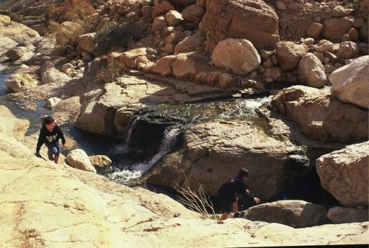 נחל ערוגות. צילום באדיבות החברה להגנת הטבע