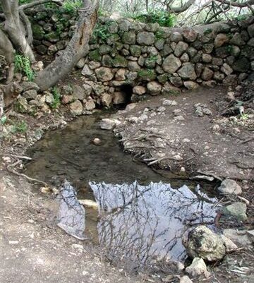 עין מטע. נביעה כל השנה