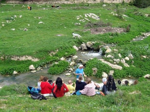 פיקניק בנחל דישון. מקום טוב באמצע הדרך