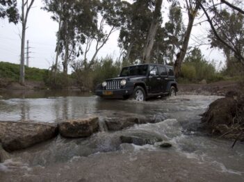 לאורך נחל ירקון