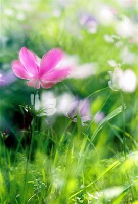 צולם במנחת מגידו