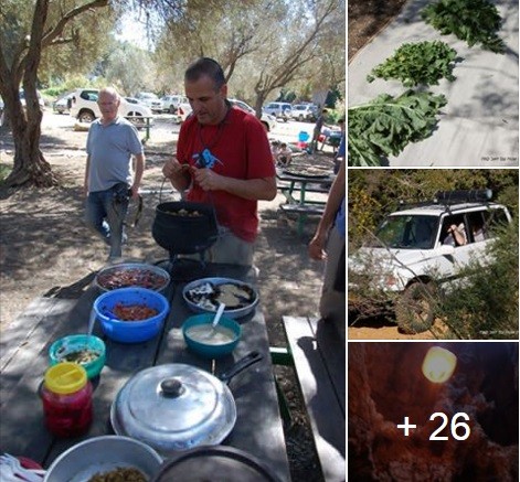 בישול שדה לקטות מאיר אברהם