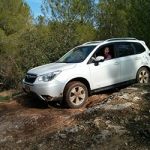 פורסטר מבט נכון הדרכה 4X4