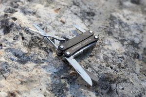 לדרמן סקווירט / צילום: גלעד ארצי