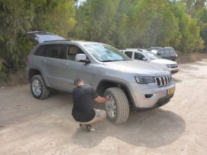 מוסמך שטח קורס