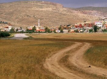 סובב ערד + כפר דריג'את