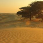 מדבר טהאר רג'סטאן נוף חול