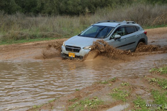 סובארו XV החדשה שלולית