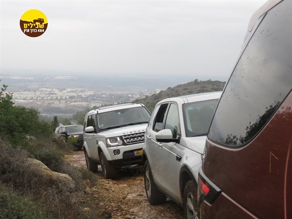 דולב7 16-11-2018