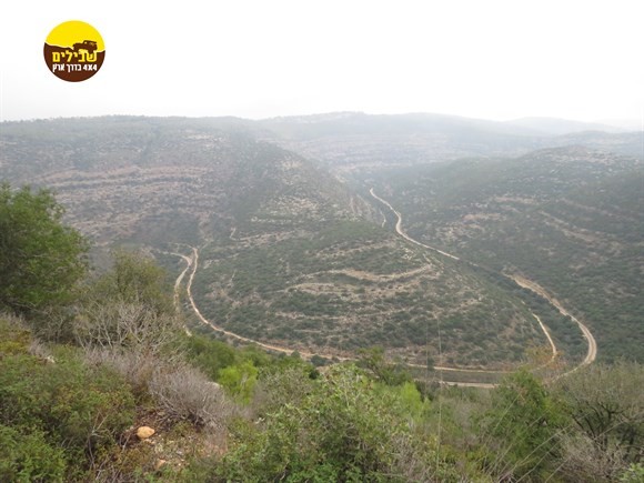 דולב6 16-11-2018