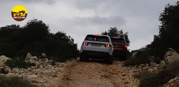 דולב9 16-11-2018