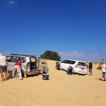 מוסמך 6 דיונונת חילוץ