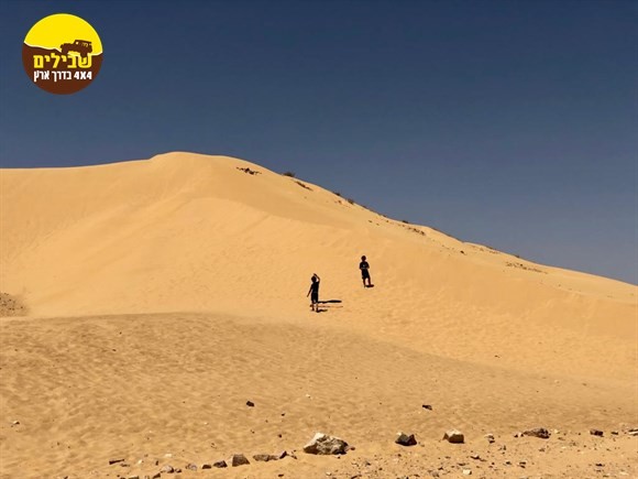 חולות כסוי דיונה דיונות