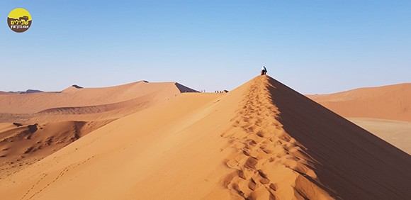 סכין נוף דיונות חול