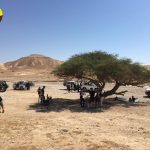 הפסקה עץ שיטה מסלול קו המפלים