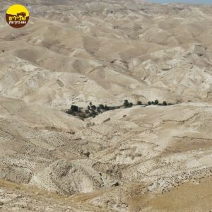 מדבר נוף ואדי קלט