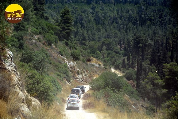 שיירה ג'יפים שביל יער, הרי ירושלים