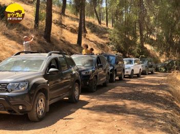 שיירה ג'יפים יער