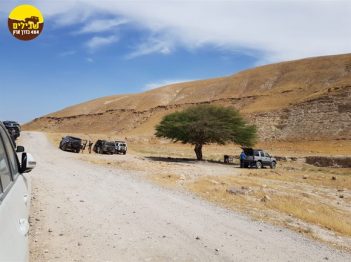 ארנון מלאכי פרדס חנה