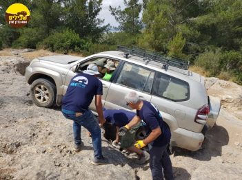 חילוץ בניה מדרגה הדרכה מוסמך 9