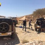 התארגנות צל