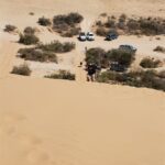 דיונה דיונות