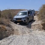 סובארו פורסטר