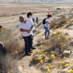 חלמונית נרקיס פרח פרחים חלמוניות אנשים