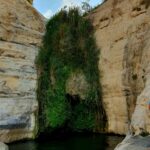 מפל בריכה סלע מדבר