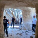 חלמונית בהר הנגבמערה