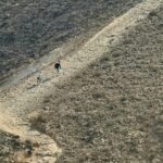 מעלה עליה הר נוף