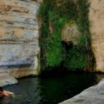 מפל מים בריכה