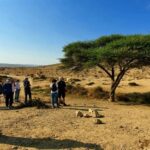 נוף אנשים מדבר