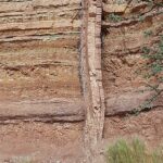 רמון ונקרות