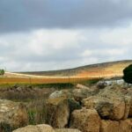 נוף יער יתיר