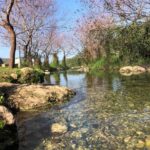 נחל ציפורי מים