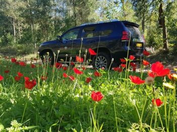 לנדקרוזר 2021