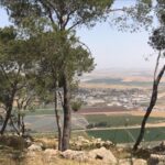 עמק יזרעאל נוף