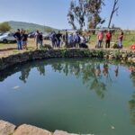 מים בריכה אנשים