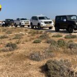 שיירה ג'יפים